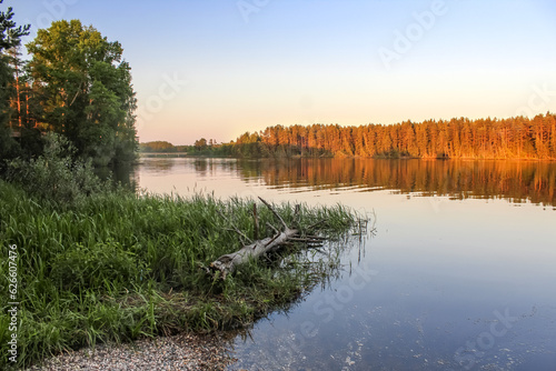Summer landscape with forests and river © Алла Чеснокова