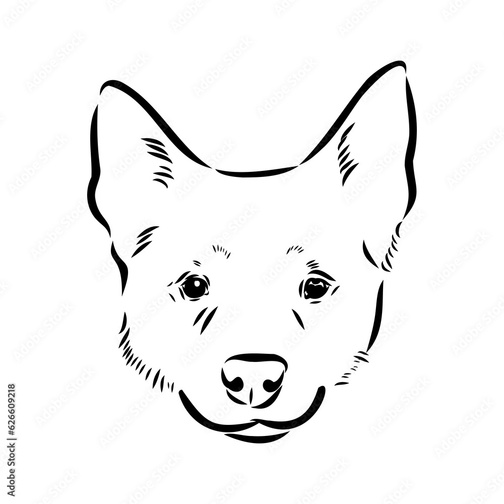 Decorative portrait of standing in profile Australian Cattle Dog, vector isolated illustration in black color on white background Decorative portrait of standing in profile Australian Cattle Dog, vector isolated illustration in black color on white background