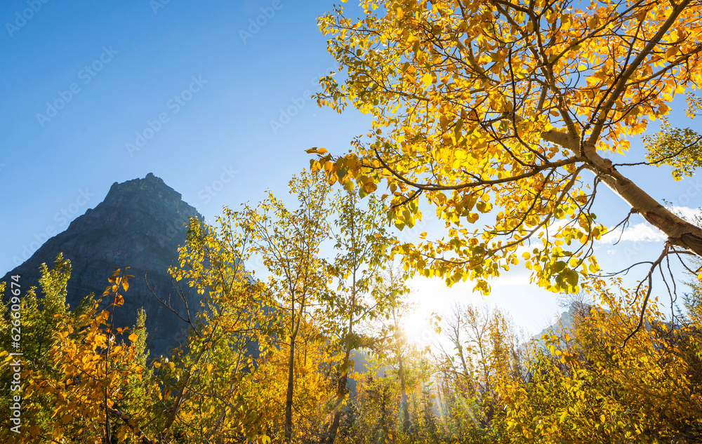 Fototapeta premium Autumn in Glacier Park