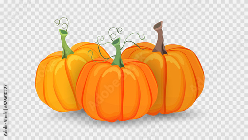 Three colored pumpkins in Halloween day on transparent background , Flat cartoon flat style. illustration Vector EPS 10