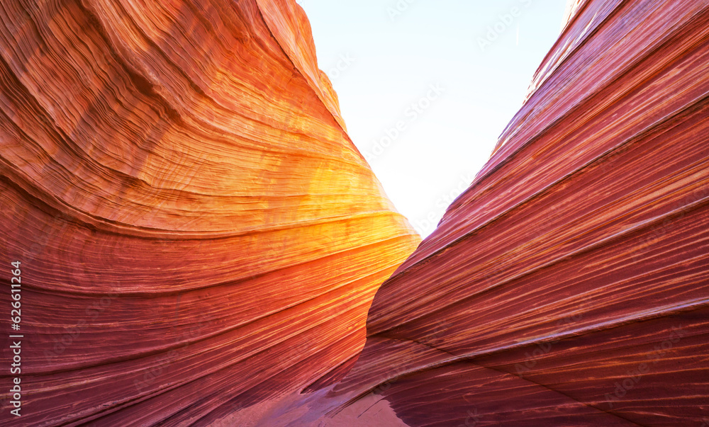 Obraz premium The Wave