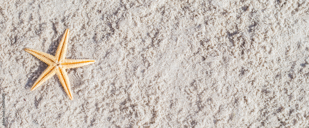 Gold starfish on a sandy beach. Top view, flat lay. Banner Gold starfish on a sandy beach. Top view, flat lay. Banner