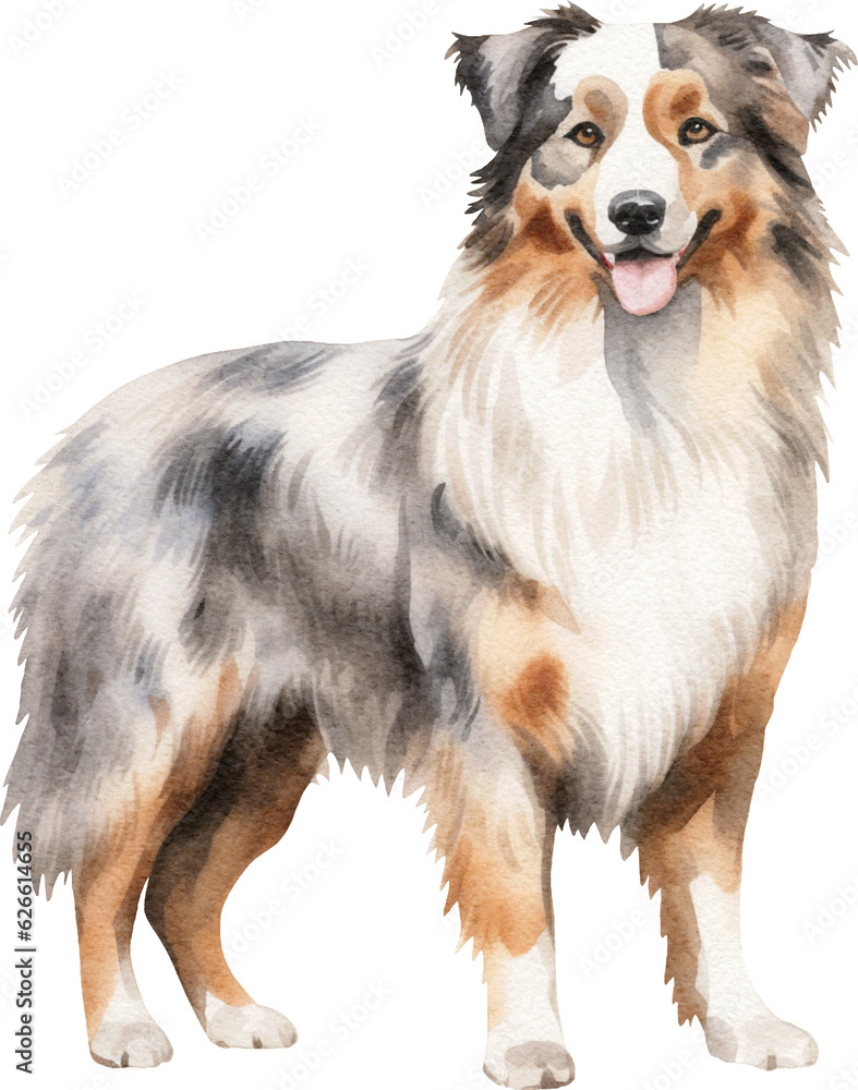 Australian shepherd dog watercolour illustration created with Generative AI technology