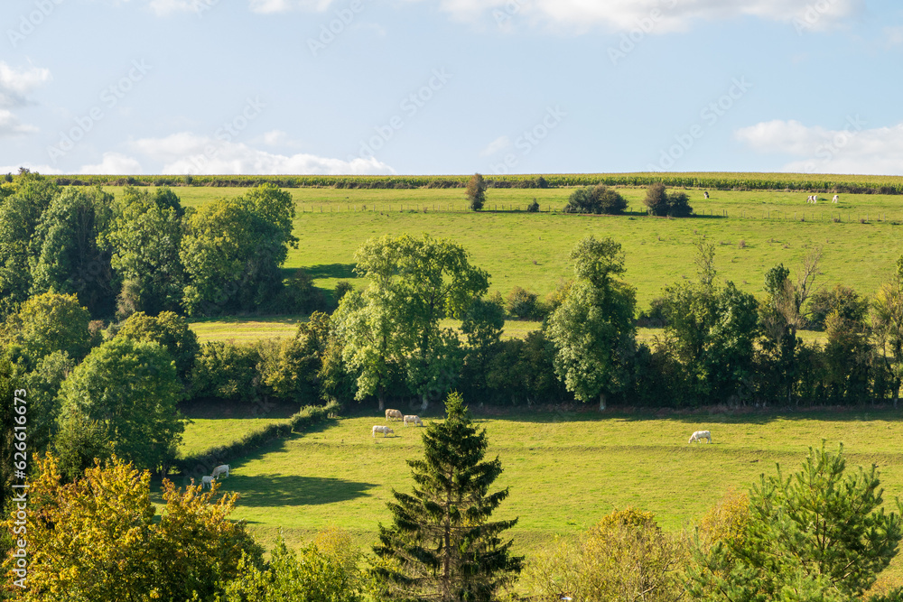 Paysage rural du Haut Pays Montreuillois