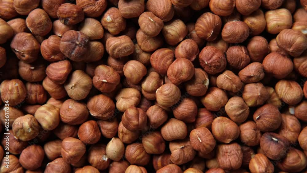 Hazelnuts harvest. Filbert video wallpaper. Full frame of hazel. Cobnut background. Peeled brown nut kernels. Healthy organic bio products. Vegetarian, vegan and raw food. Back to nature. Healthy fat Hazelnuts harvest. Filbert video wallpaper. Full frame of hazel. Cobnut background. Peeled brown nut kernels. Healthy organic bio products. Vegetarian, vegan and raw food. Back to nature. Healthy fat