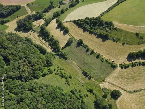 Aerial view of green grass fields and trees in the landscape in summer