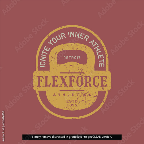 Vintage Distressed Clean Grunge Flexforce Gym Fitness Lockup Type Badge Logo