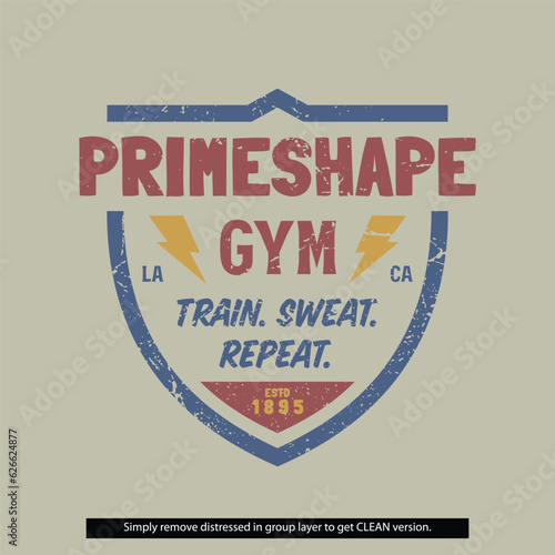 Vintage Distressed Clean Grunge Prineshape Gym Fitness Lockup Type Badge Logo