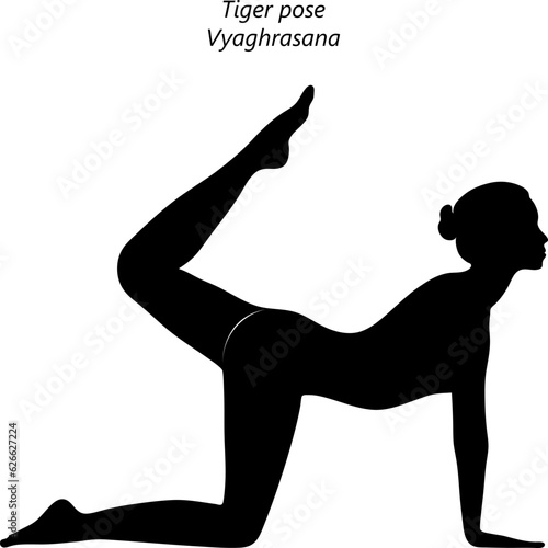 Silhouette of young woman practicing yoga, doing Tiger pose. Vyaghrasana. Arm Leg Support and Backbend. Beginner. Isolated vector illustration. photo