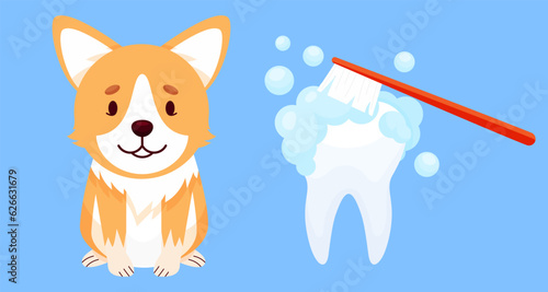 Cartoon Corgi Dog Character and tooth clean. Canine dental hygiene. Vector illustration cartoon style