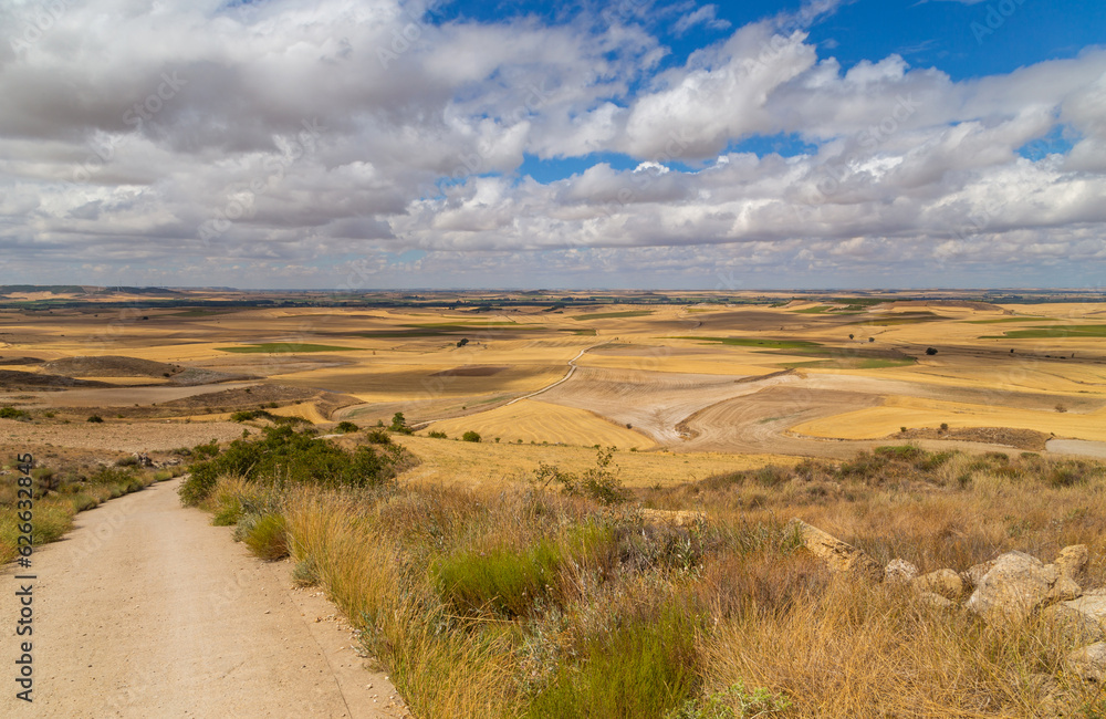 Rural road in the Spanish