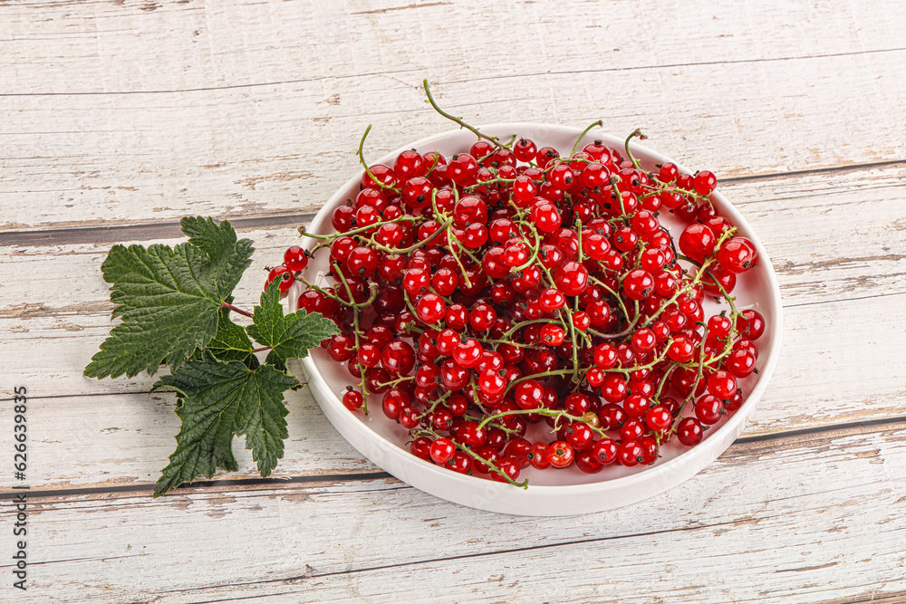 Sweet ripe red currant berries Sweet ripe red currant berries