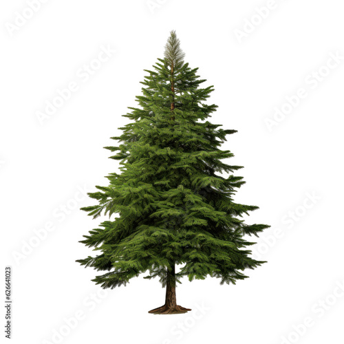 Christmas tree isolated