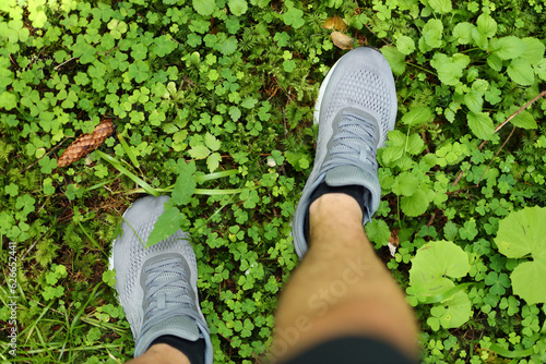 Feet standing on a bed of green clover leaves with pine cones scattered around. The person is wearing gray sneakers with white soles.