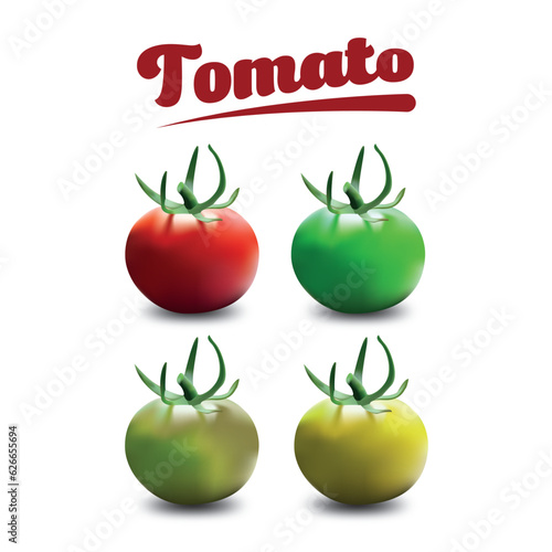 Fresh Harvest Vegetable Element Collection
