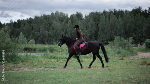 Equestrian sports. A young woman in the saddle, a rider and her horse outdoors, riding in the woods.