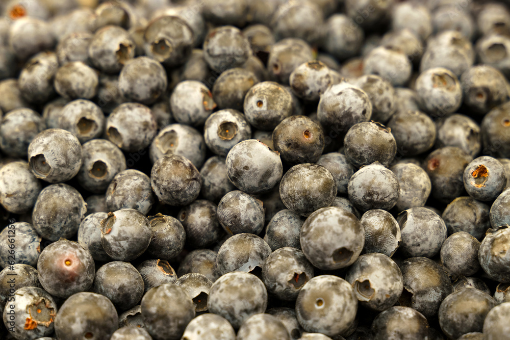 Showcase with blueberries. Food market, close-up Showcase with blueberries. Food market, close-up