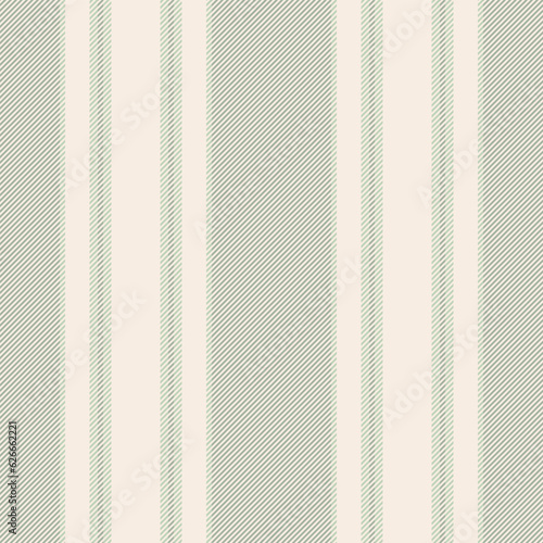 Lines pattern vector of texture seamless vertical with a textile stripe background fabric.