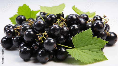 black currant isolated on white background  Generative AI  illustration