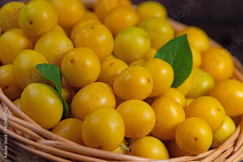 Gelbe Kirschpflaumen, Prunus cerasifera, im Korb