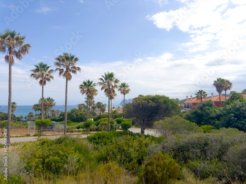 palms and a view to the village of La Alcaidesa with the Mediterranean Sea beyond, Cádiz, Andalusia, Malaga, Spain © keBu.Medien
