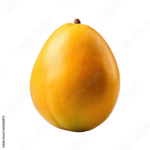 Fresh mango isolated