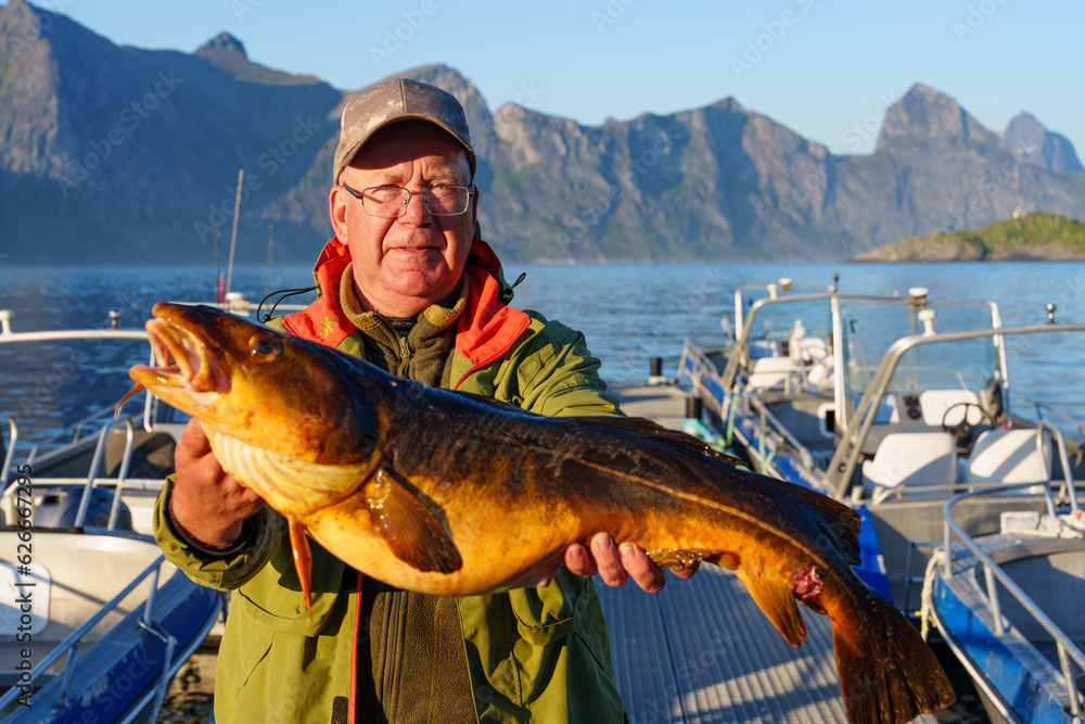 Male fisherman holding a huge fish Cod. Norway Fishing tourism. Senior fisherman in ocean, fjord fishing. Fishing in Lofoten, Senja, Alta, Tromso. Male fisherman holding a huge fish Cod. Norway Fishing tourism. Senior fisherman in ocean, fjord fishing. Fishing in Lofoten, Senja, Alta, Tromso.