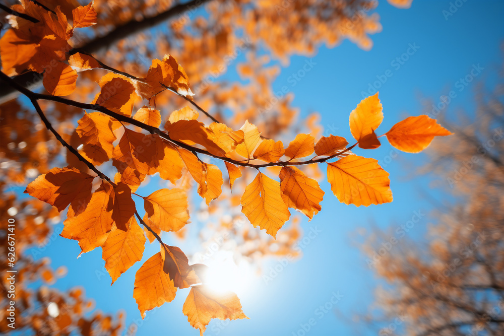 autumn leaves against a blue sky, generative ai autumn leaves against a blue sky, generative ai