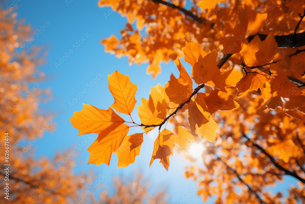 autumn leaves against a blue sky, generative ai autumn leaves against a blue sky, generative ai