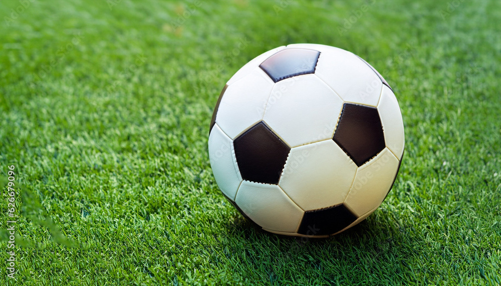 Fototapeta premium The football is on the green lawn.