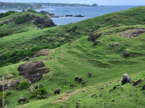 Around Indonesia