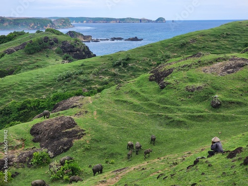 Around Indonesia