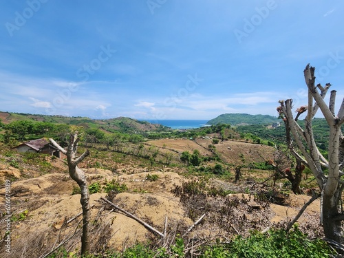 Around Indonesia