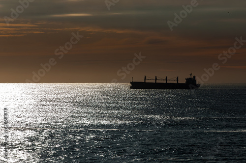 Cargo ship anchored on the coast of Mar del Plata at dawn