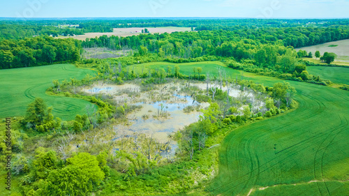 Swamp marsh land in middle of crops and fields aerial drone shot © Nicholas J. Klein