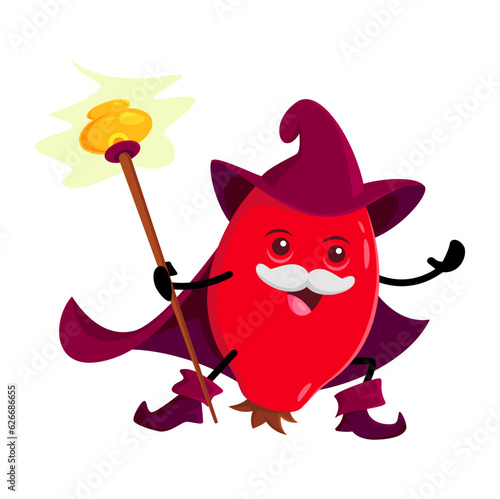 Cartoon rosehip berry wizard or magician character. Vector senior necromancer Halloween personage with magic staff. Funny wiz in hat and cape. Cute smiling sorcerer rose hip garden berry, healthy food