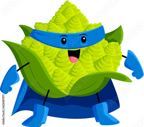 Cartoon cheerful romanesco vegetable superhero character. Farm cabbage hero, veggie warrior or defender isolated vector childish mascot. Romanesco superhero happy personage in mask, cape and gloves