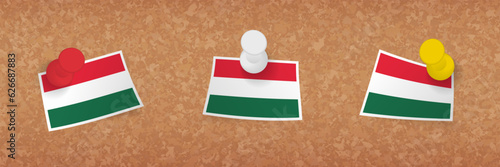 Hungary flag pinned in cork board, three versions of Hungary flag.