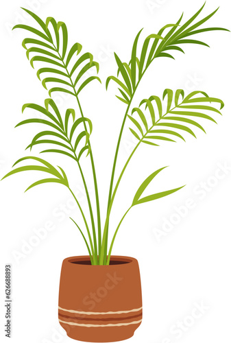 Nikau palm in pot, vector tropical plant with feather-like leaves and a tall slender trunk. Office houseplant with lush green foliage, native to New zealand, Ideal for indoor or outdoor decoration