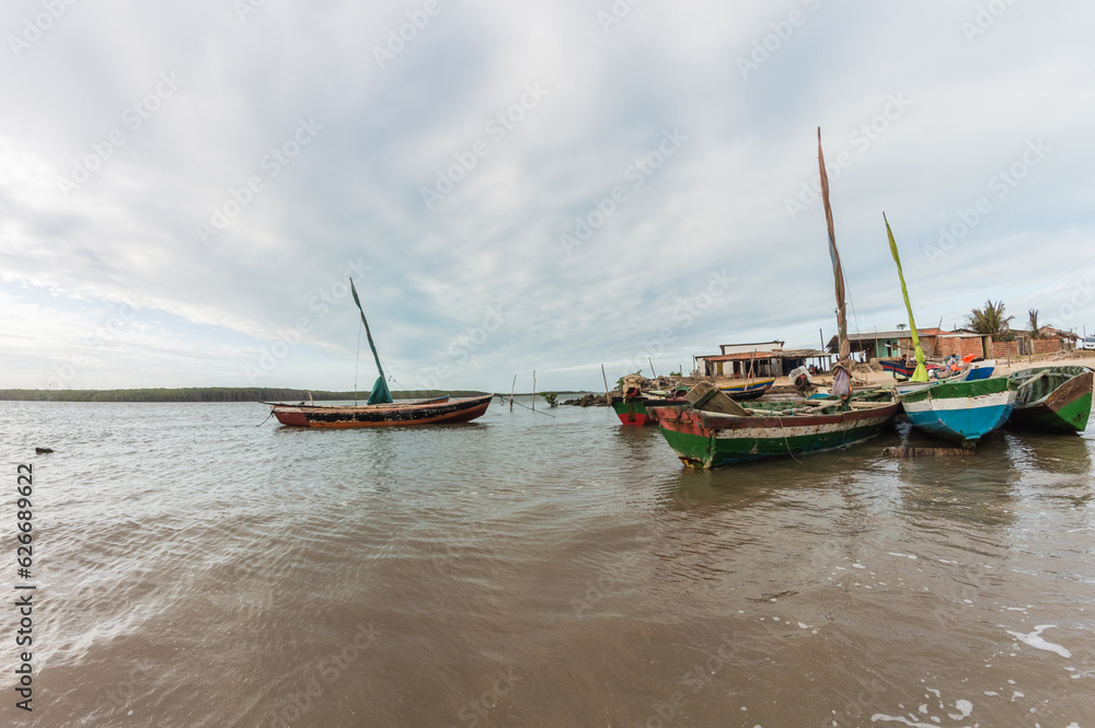 barcos barcos