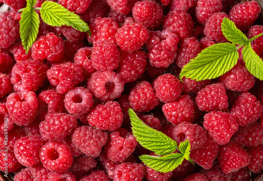 Raspberry with leaves Raspberry with leaves