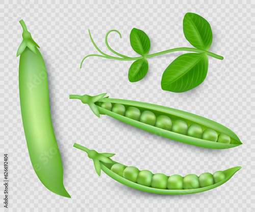 Green peas. Natural green healthy eco products green pea pods decent vector realistic templates isolated