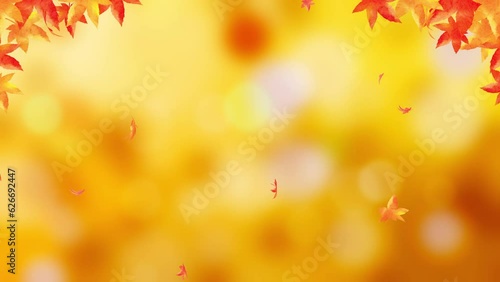 Autumn background with falling leaves.