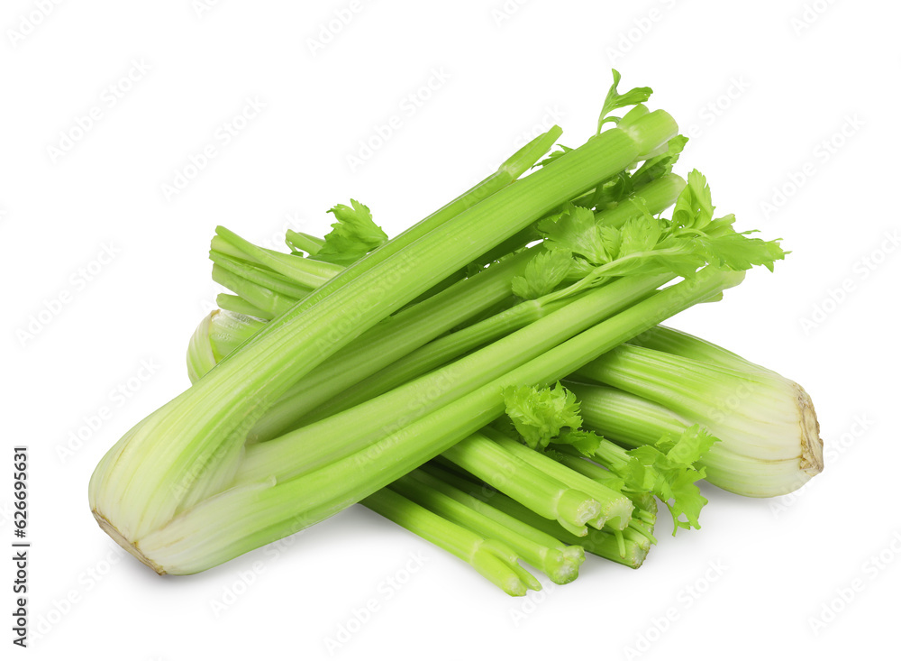 Fresh green celery bunches isolated on white Fresh green celery bunches isolated on white