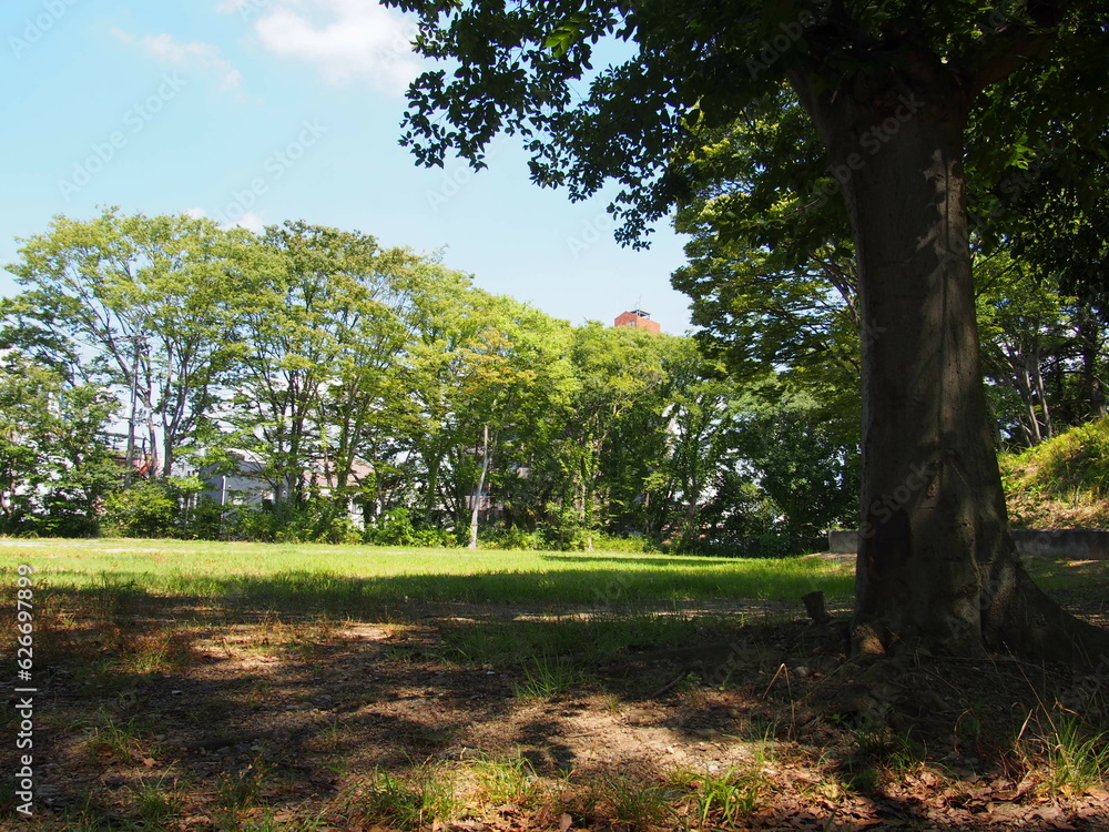 Obraz premium 広場