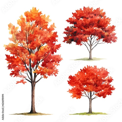 set of Tree and autumn leaves painted in watercolor on a white isolated background