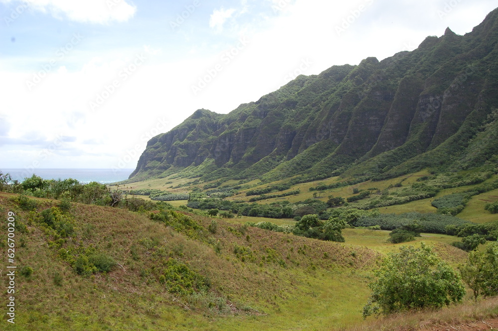 Hawaiin mountain scene