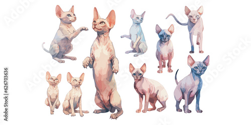 Watercolor Sphynx Cat clipart for graphic resources