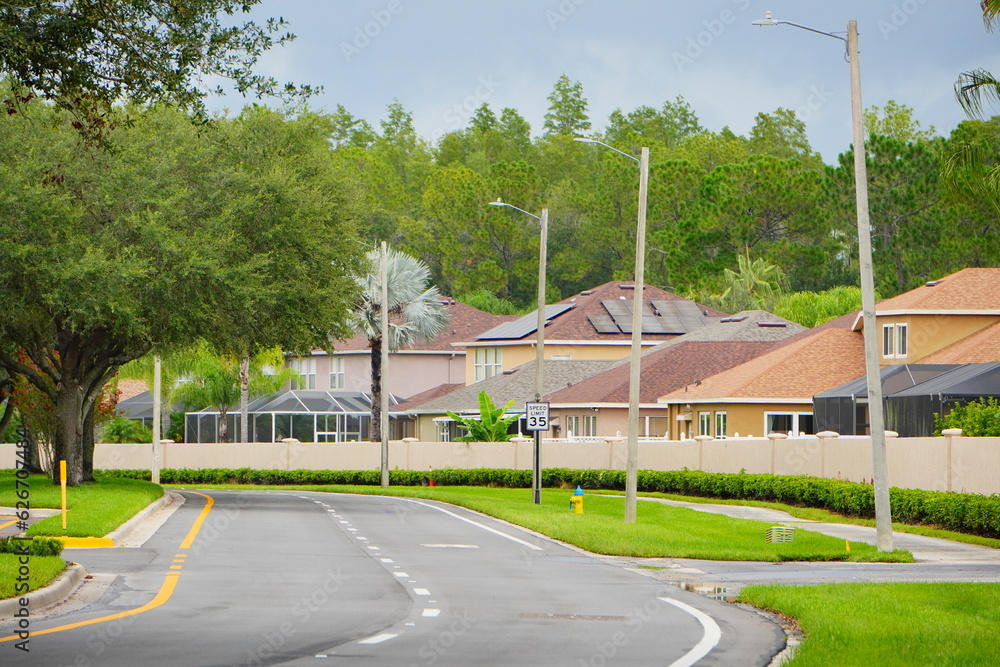 A typical Florida community, wall and road	
