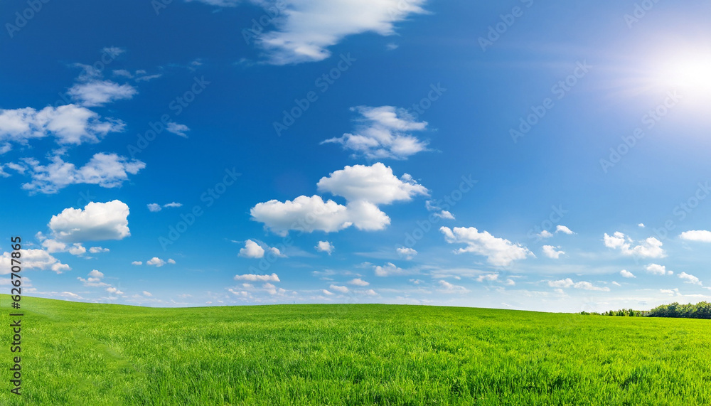 Obraz premium Panoramic natural landscape with green grass field meadow and blue sky with clouds, bright sun and horizon line. Panorama summer spring grassland in sunny day.